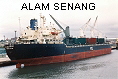 ALAM SENANG  IMO8308812