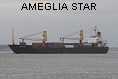 AMEGLIA STAR IMO8215778