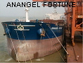 ANANGEL FORTUNE IMO9329459