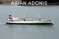 ASIAN ADONIS IMO9196424