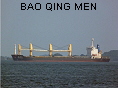 BAO QING MEN IMO8300925