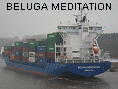 BELUGA MEDITATION IMO9353735