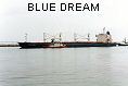 BLUE DREAM IMO9131046