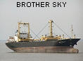 BROTHER SKY IMO9153331