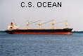 C.S. OCEAN IMO9122887