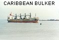CARIBBEAN BULKER IMO8817320