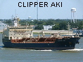 CLIPPER AKI IMO9505974