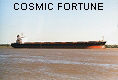 COSMIC FORTUNE IMO9156589