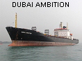 DUBAI AMBITION IMO8705436