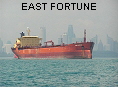 EAST FORTUNE IMO8107127