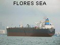 FLORES SEA IMO8920220