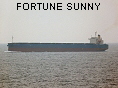 FORTUNE SUNNY IMO9317523