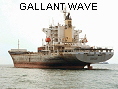 GALLANT WAVE IMO9120920