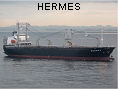 HERMES IMO9188673
