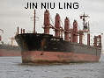 JIN NIU LING IMO9060209