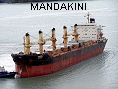 MANDAKINI IMO8321058