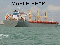 MAPLE PEARL IMO9545560