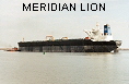 MERIDIAN LION IMO9116412