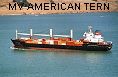 MV AMERICAN TERN IMO8908088