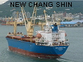 NEW CHANG SHIN IMO9345568