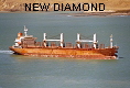 NEW DIAMOND IMO9117868