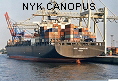 NYK CANOPUS IMO9152296