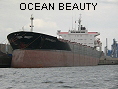 OCEAN BEAUTY IMO8025850