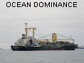 OCEAN DOMINANCE IMO9354557