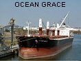 OCEAN GRACE IMO9288502