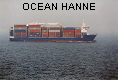 OCEAN HANNE IMO9002049
