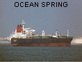 OCEAN SPRING IMO9379038