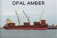 OPAL AMBER IMO9393539