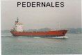 PEDERNALES IMO7634044