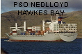 P&O NEDLLOYD HAWKES BAY IMO9073244