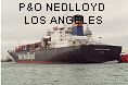 P&O NEDLLOYD LOS ANGELES IMO7811484