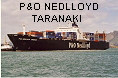 P&O NEDLLOYD TARANAKI IMO7900041