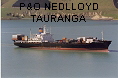P&O NEDLLOYD TAURANGA IMO7015913