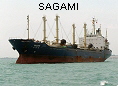 SAGAMI IMO8513039