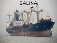SALINA IMO8131609