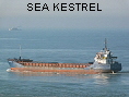 SEA KESTREL IMO9006459