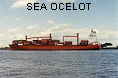 SEA OCELOT IMO9149304