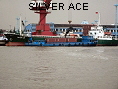 SILVER ACE IMO8808135