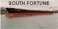 SOUTH FORTUNE