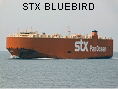 STX BLUEBIRD IMO9358888