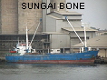 SUNGAI BONE IMO7203950