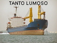 TANTO LUMOSO IMO8130928