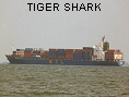 TIGER SHARK IMO9077290