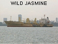 WILD JASMINE IMO9181156