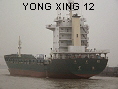 YONG XING 12